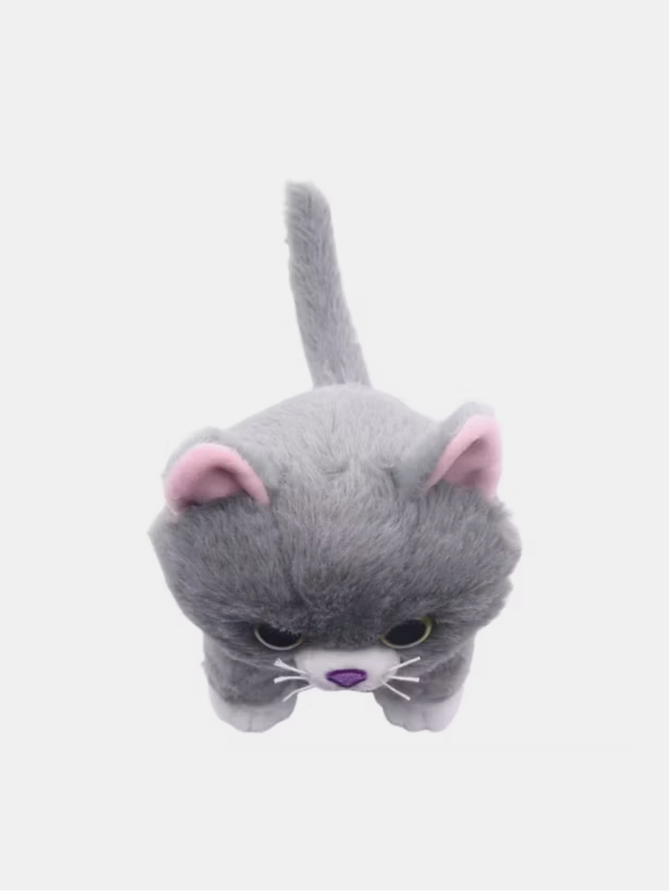 Cat Toy Children Gift