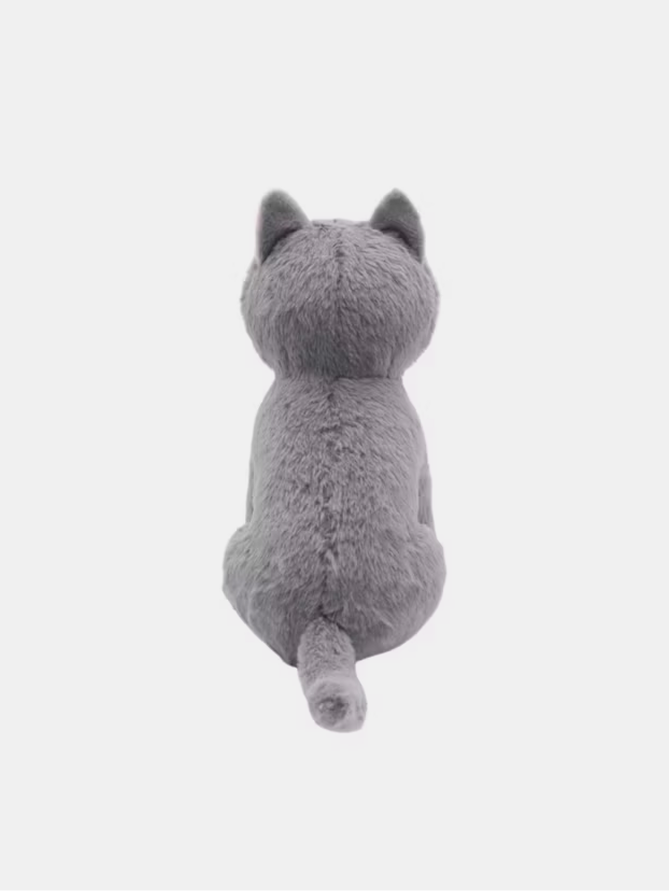 Cat Toy Children Gift