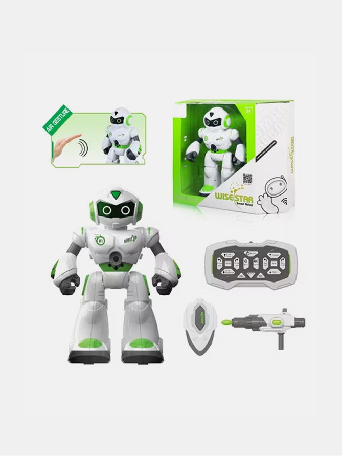 Remote Control Smart Robot RC Toys 
