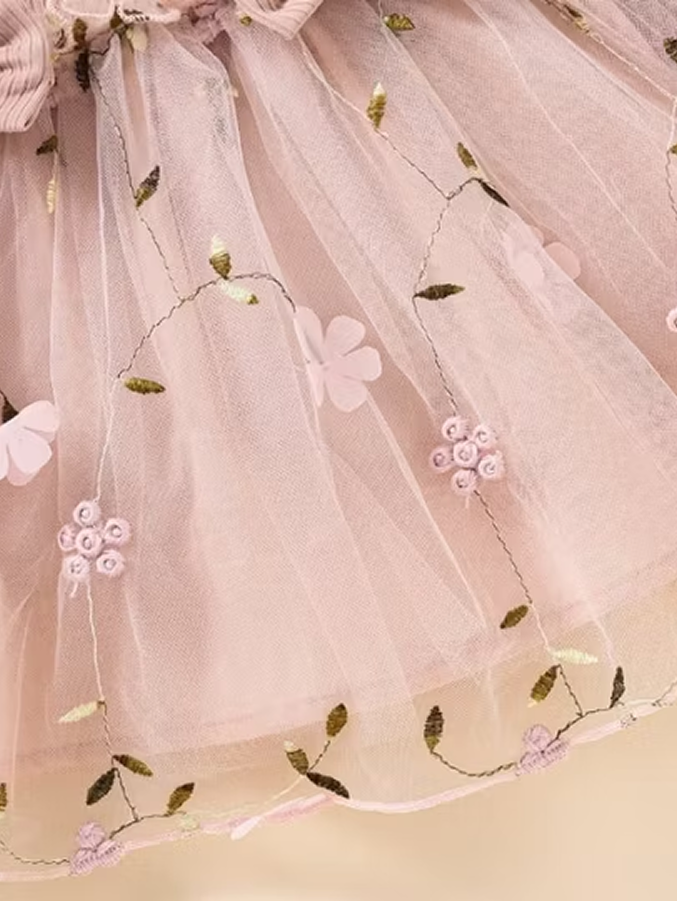Mesh Princess Dress with Long Sleeves